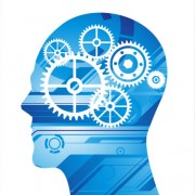 Pack Mémoire - Cognition
