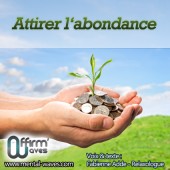 Attirer l'abondance | Loi d'attraction