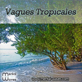 Vagues tropicales
