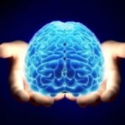 Les ondes émises par le cerveau Les ondes émises par le cerveau
