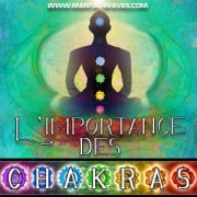 L’importance des Chakras