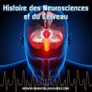 Histoire des neurosciences et du cerveau