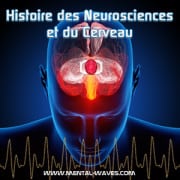 Histoire des neurosciences et du cerveau Histoire des neurosciences et du cerveau