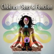 Les 7 principaux Chakras et leurs fonctions