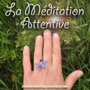 La Méditation attentive ou Vipassana