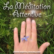 La Méditation attentive ou Vipassana La Méditation attentive ou Vipassana