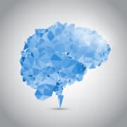 Les évènements pourraient accélérer le vieillissement du cerveau Les évènements pourraient accélérer le vieillissement du cerveau