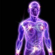 L’homme Vibratoire L’homme Vibratoire