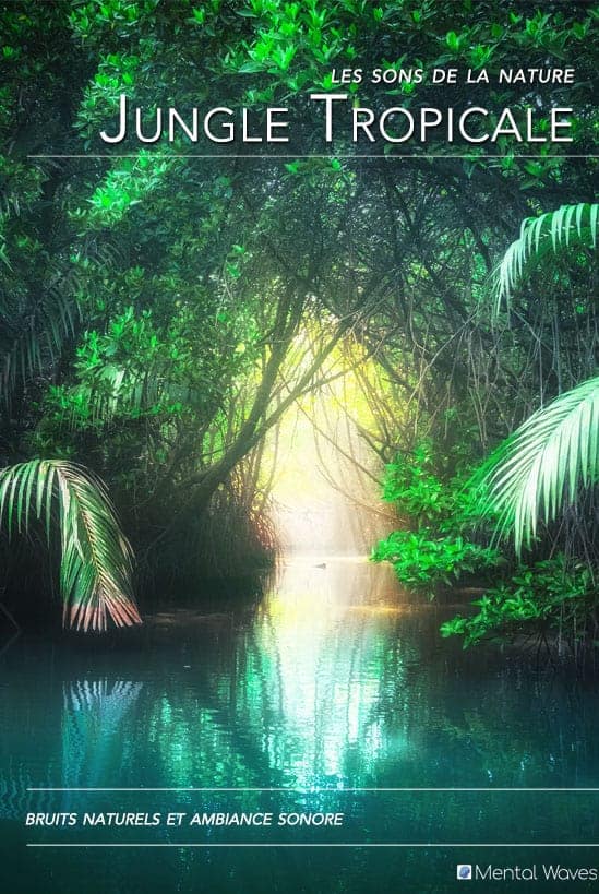 jungle tropicale cover 2018