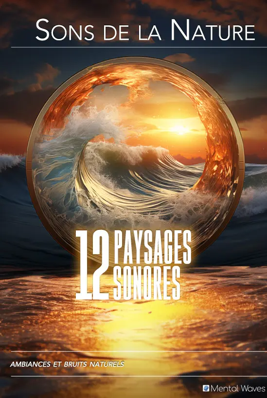 12 paysages sonores immersifs